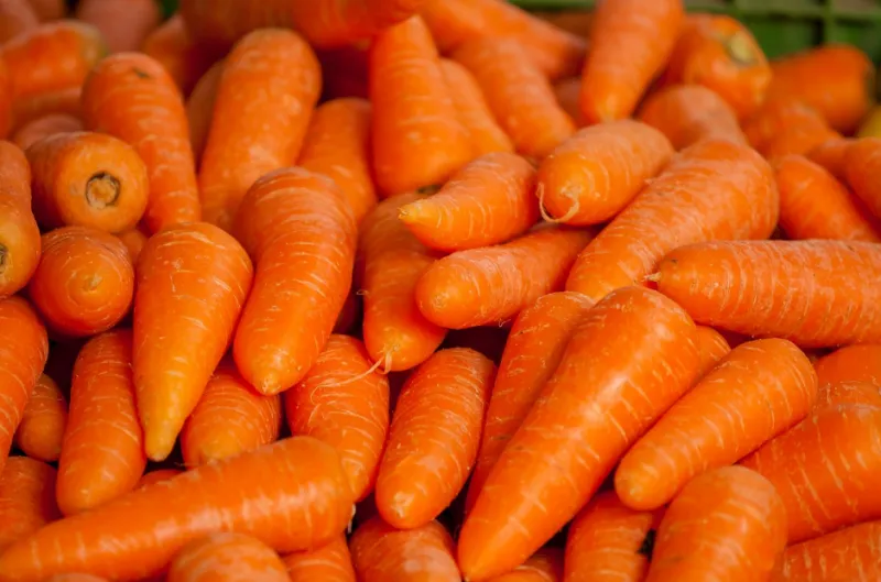 겨울철 혈관 청소에 좋은 식품들