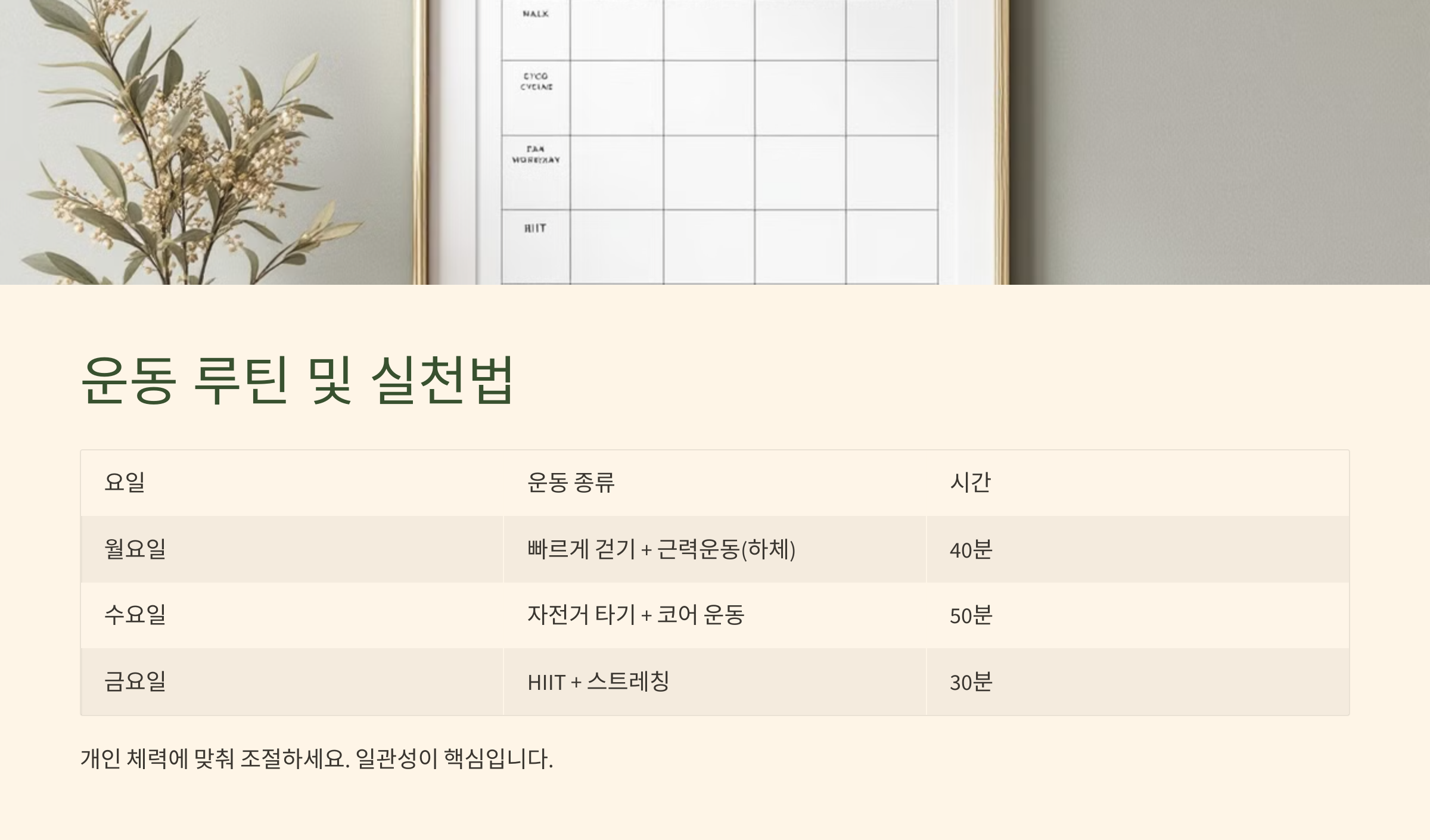운동 루틴 및 실천 안내 이미지