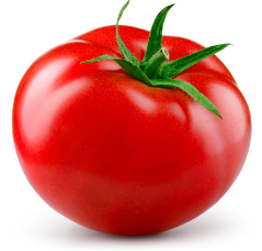토마토