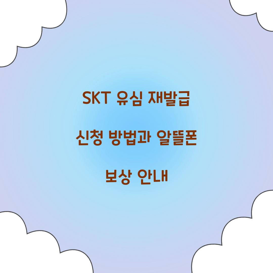 SKT 유심 재발급