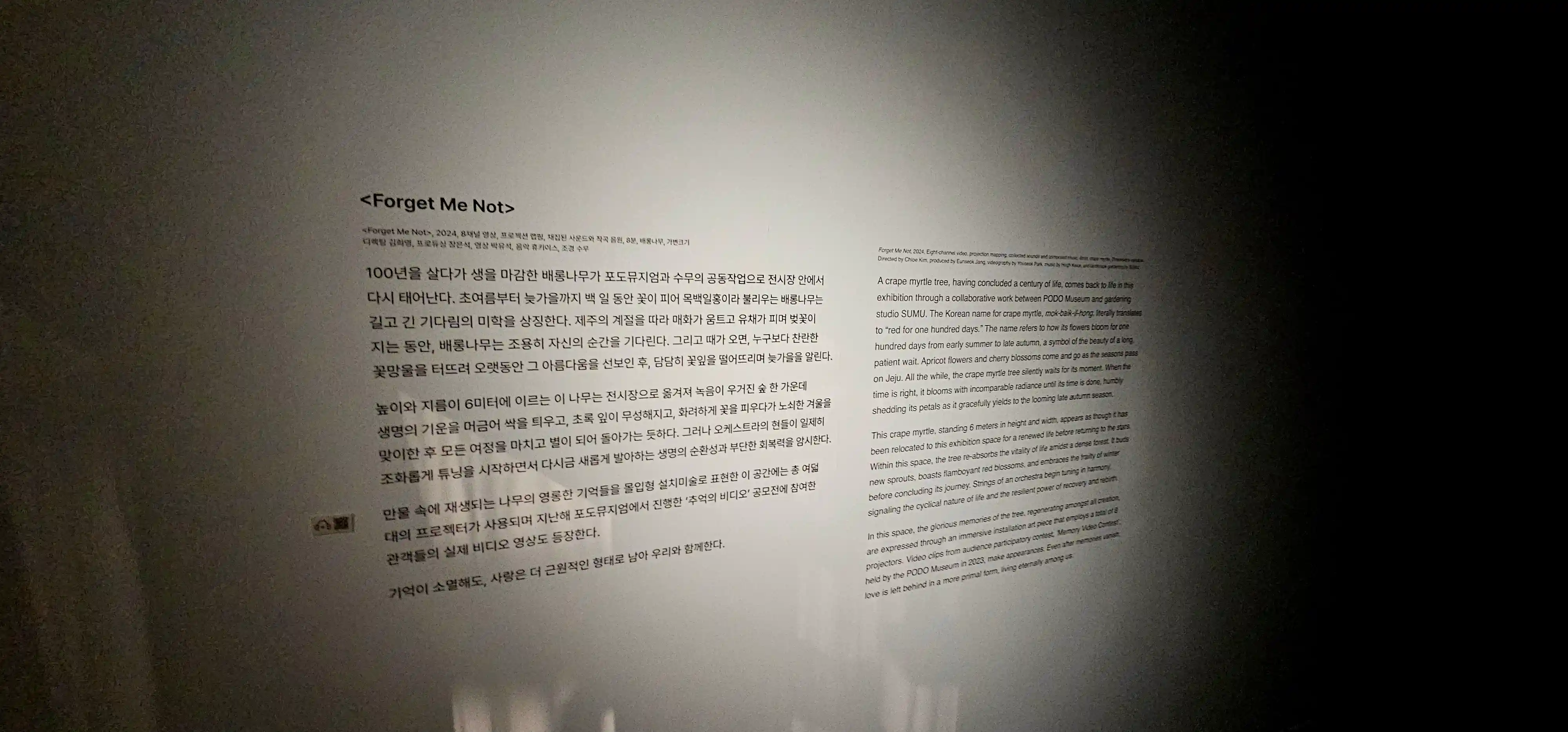 디지털 미디어 영상 테마공간 작품.