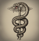 뱀 나오는 꿈, 뱀 잡는 꿈해몽