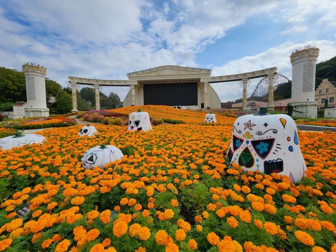 에버랜드 제휴카드 및 통신사 할인 혜택