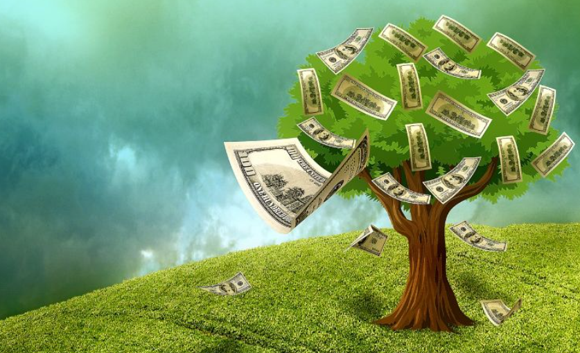 돈을 어떻게 심을 것인가?