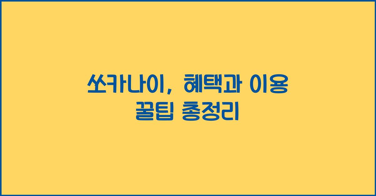 쏘카나이