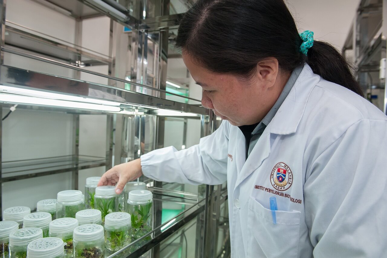 Merging Bioengineering and Genetic Engineering