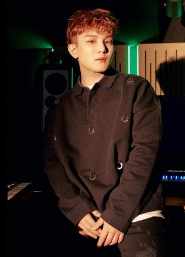 가수 범주 관련 사진