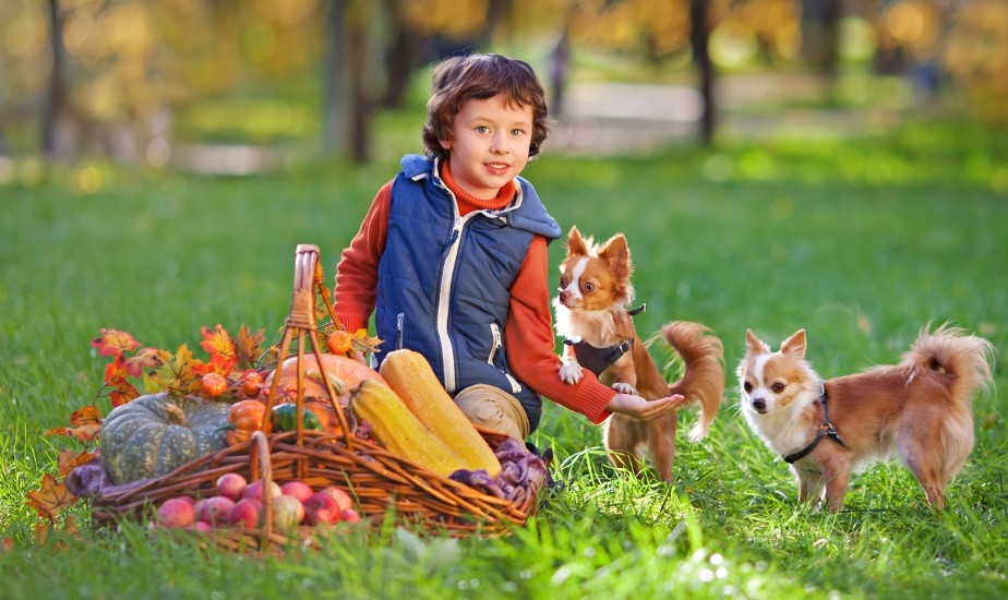 반려동물과 놀고 있는 아이