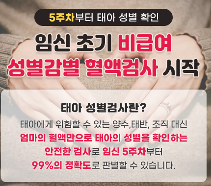 태아 성별 검사