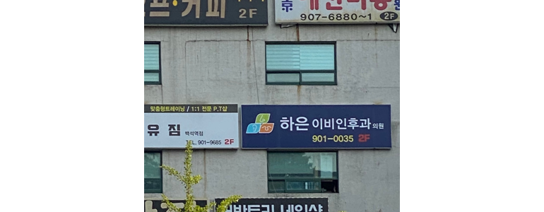 고양 일산동구 이비인후과