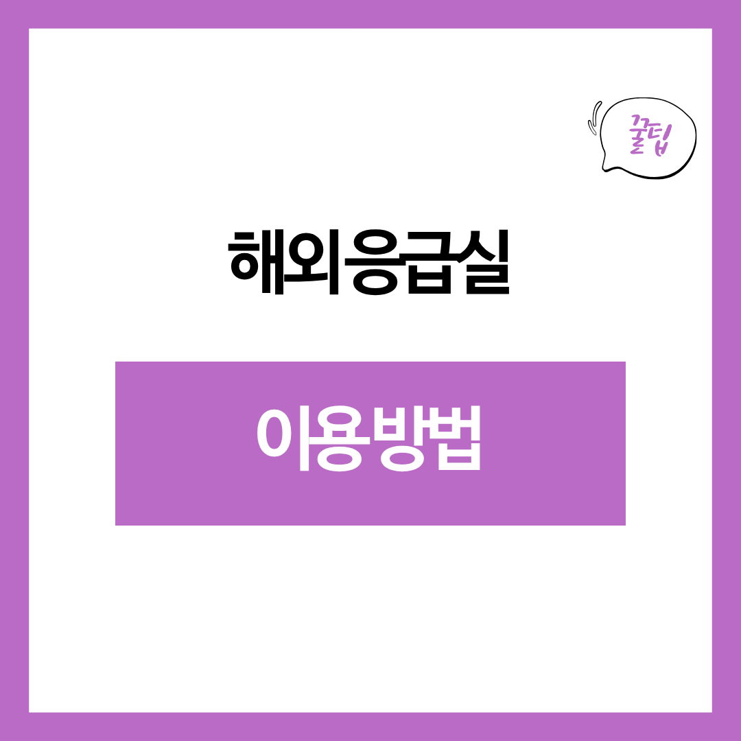 해외 응급실 이용 방법과 진료비 줄이는 법