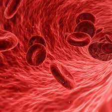 혈관 청소 사진 3