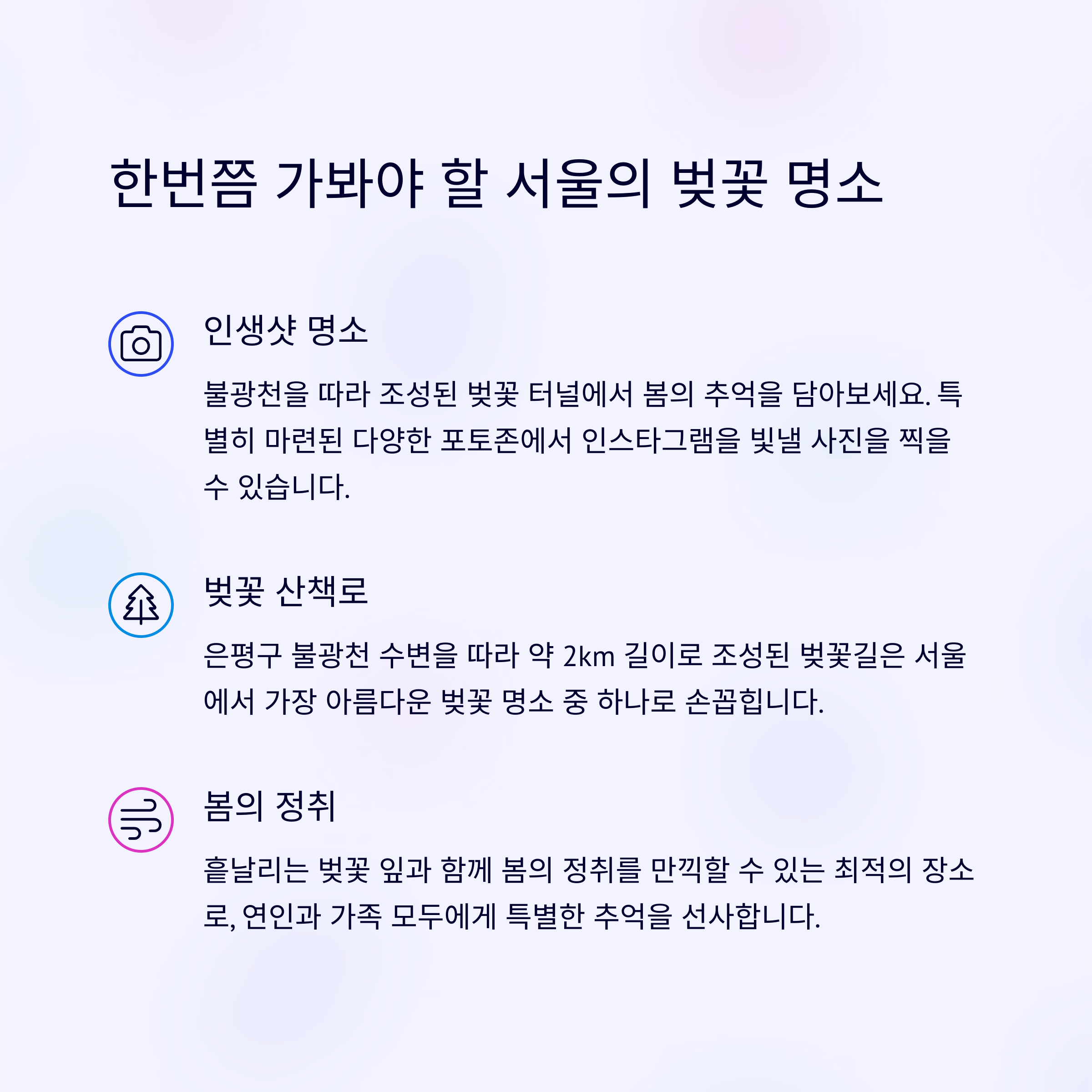 불광천 벚꽃축제