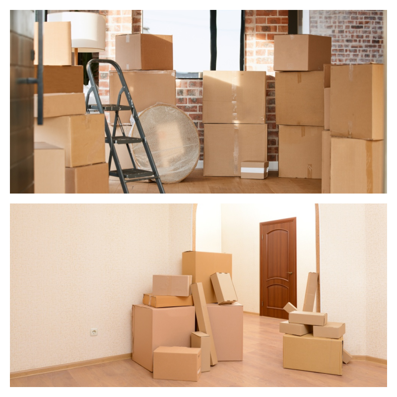 이사 성수기 예약 실패 대처법