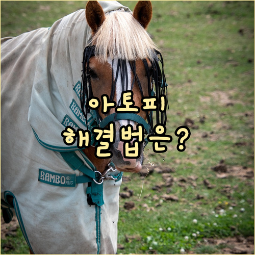 아토피 피부염, 외부 자극과 스트레스..