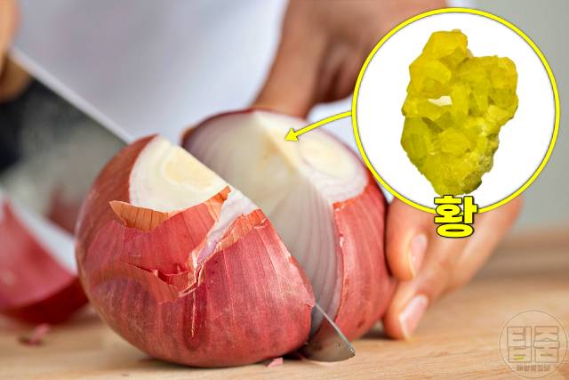 독소배출 음식 디톡스 식단 양파