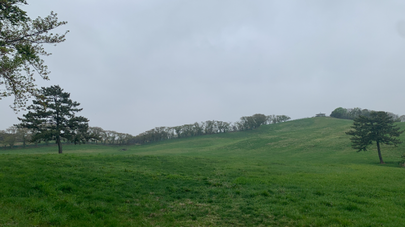 서산 한우목장 전경