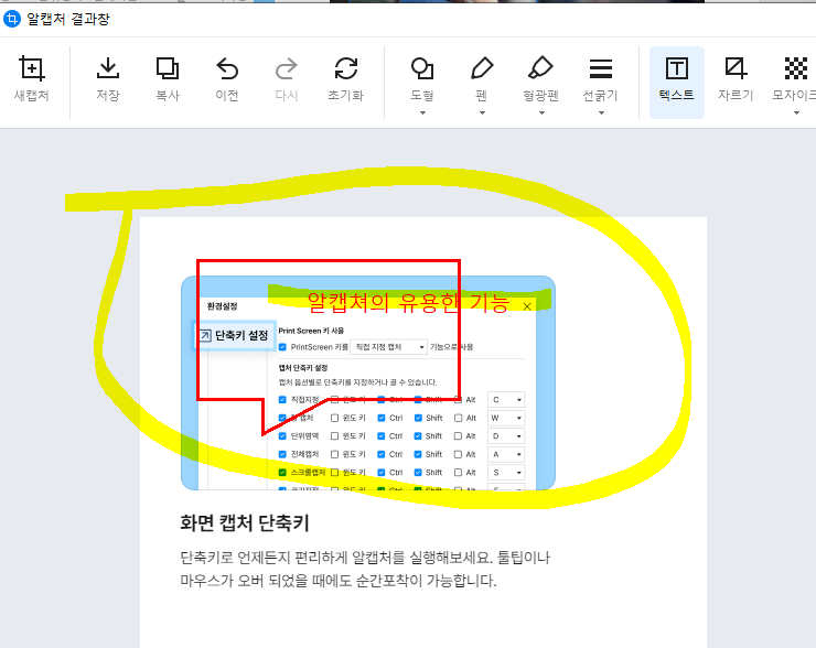 캡쳐 프로그램 다운로드