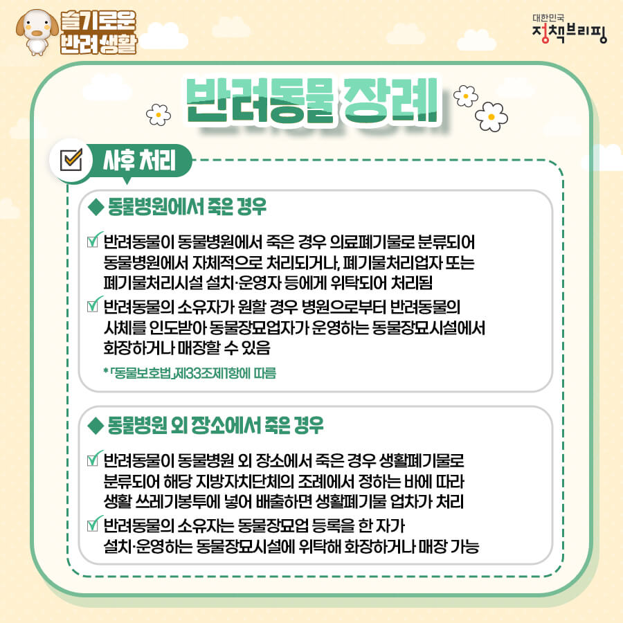 강아지장례식장