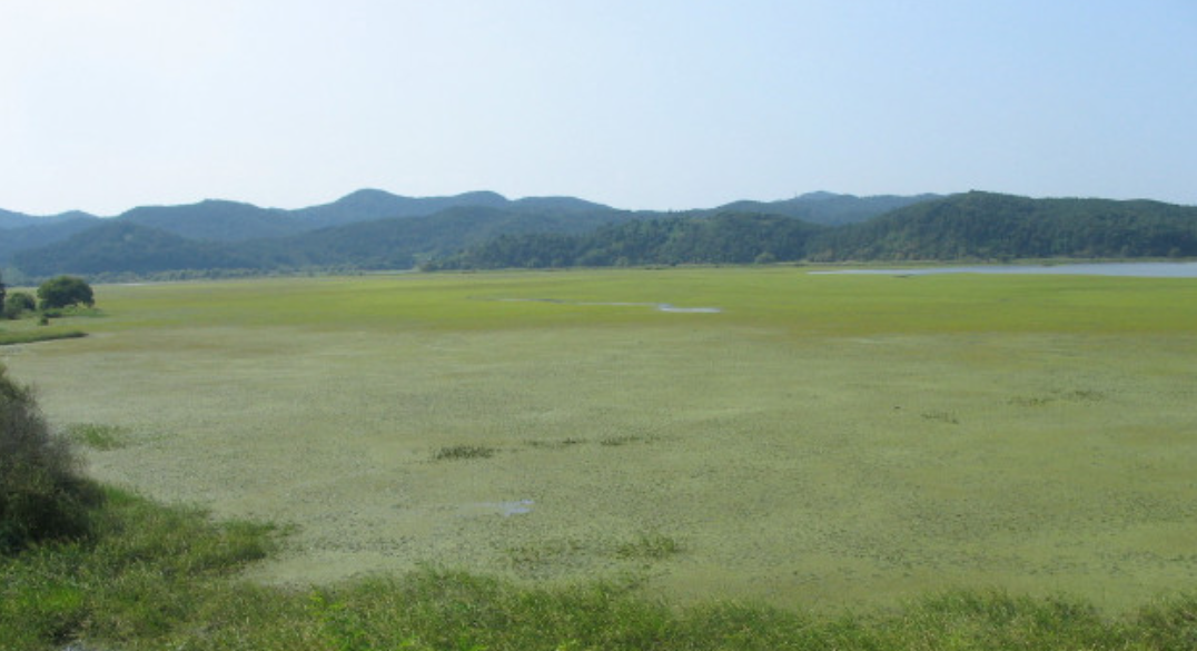 경남 창녕의 우포늪