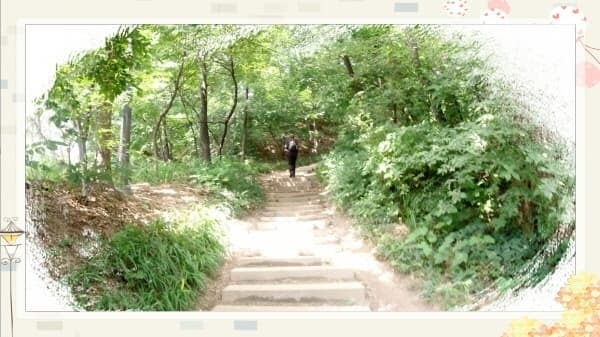 북악스카이웨이 산책로 완벽 가이드: 초보자도 쉽게 따라하는 코스