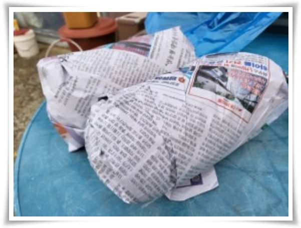 "남은 김장 배추 보관법" 땅속에 묻기/냉장/냉동 보관 등 오래 보관하는 법!