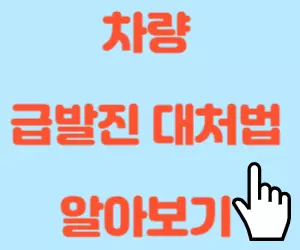 차량 급발진