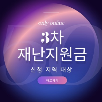 3차 재난지원금