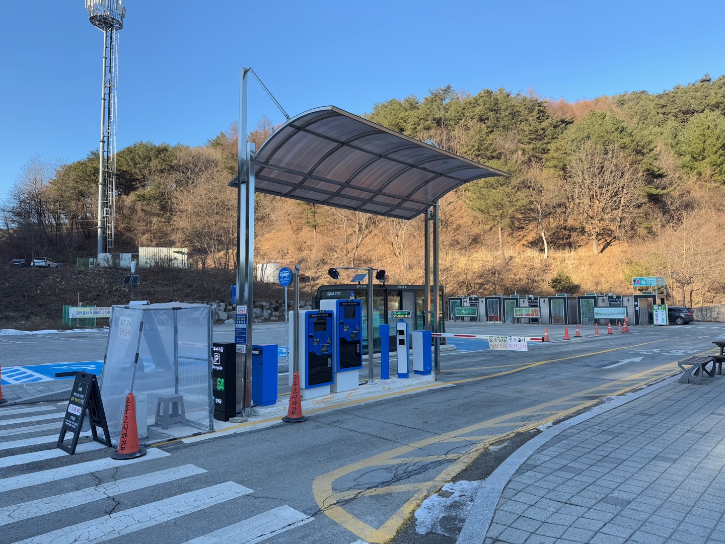 인제 자작나무숲