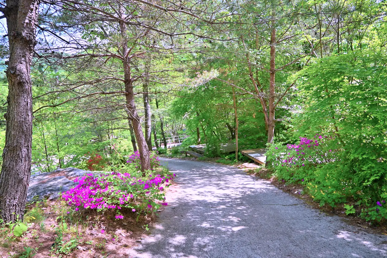 홍천 산으로캠핑장 힐링하기 좋은 멋진 캠핑장 사진 11