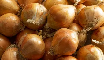 양파 보관법 양파 오래 보관법 3가지 방법_17