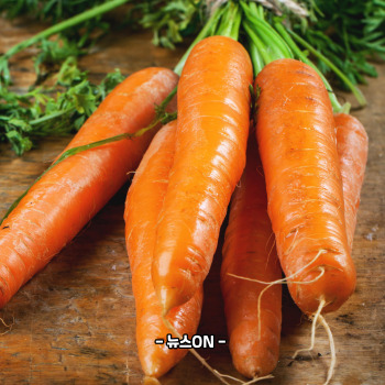 비타민A가 많은 음식