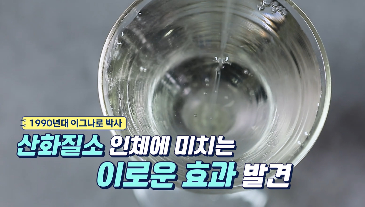 아르기닌의 효능