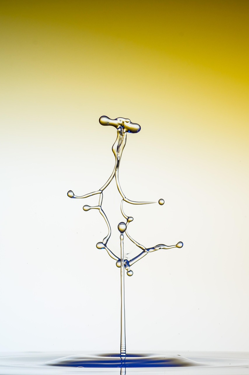 포상기태 증상과 원인&amp;#44; 진단&middot;치료&middot;재임신까지