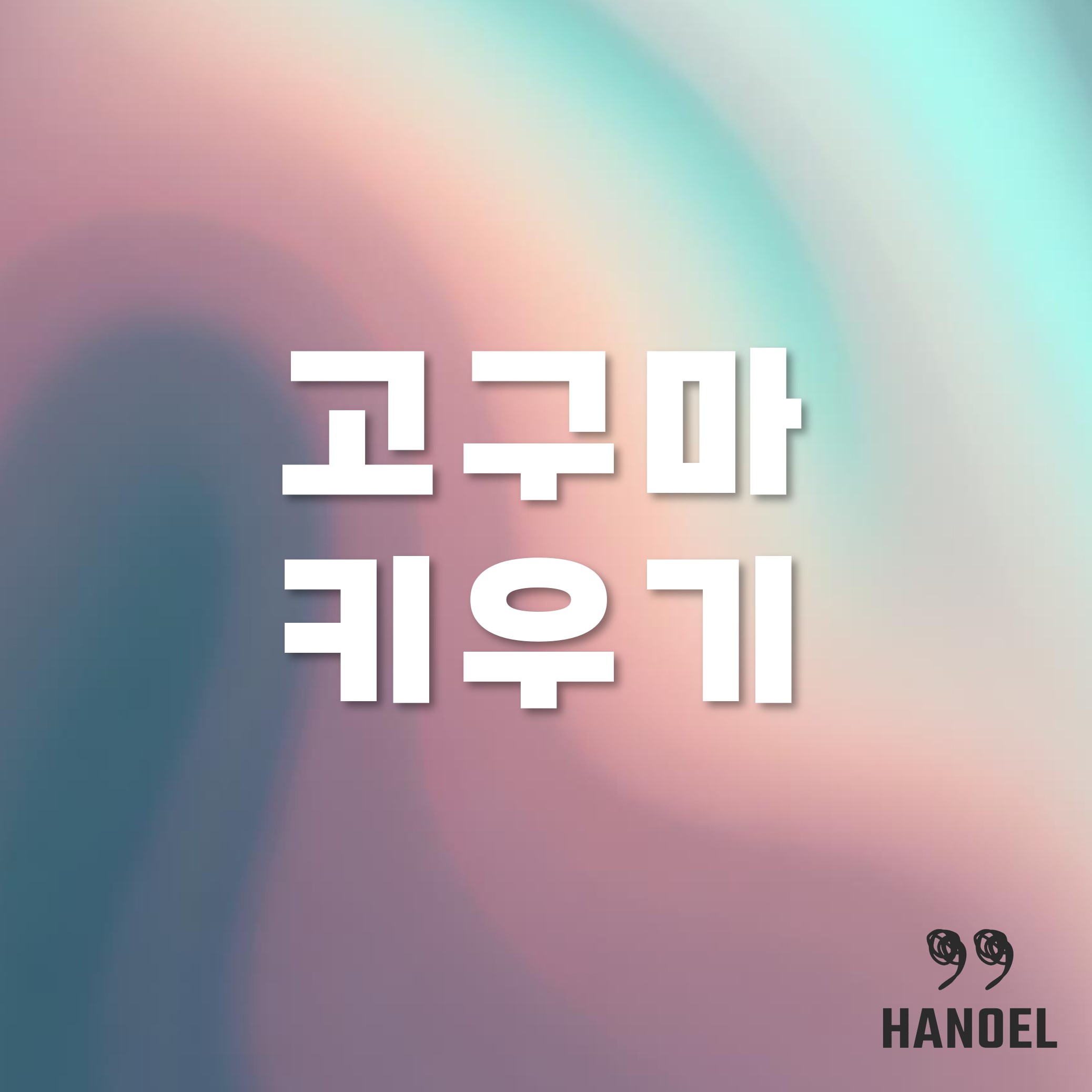 고구마키우기