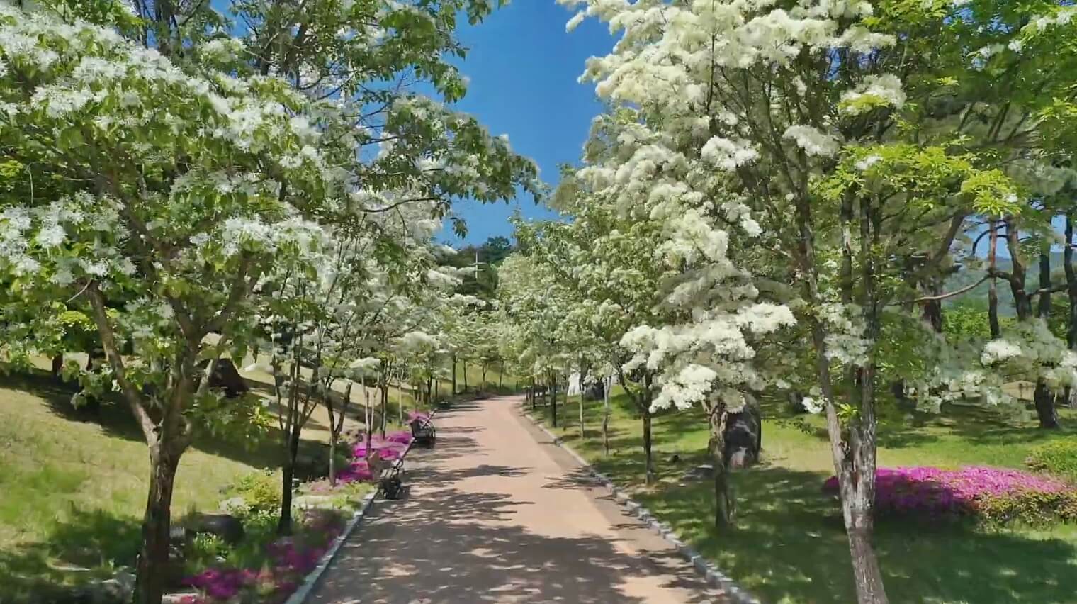 직지문화공원