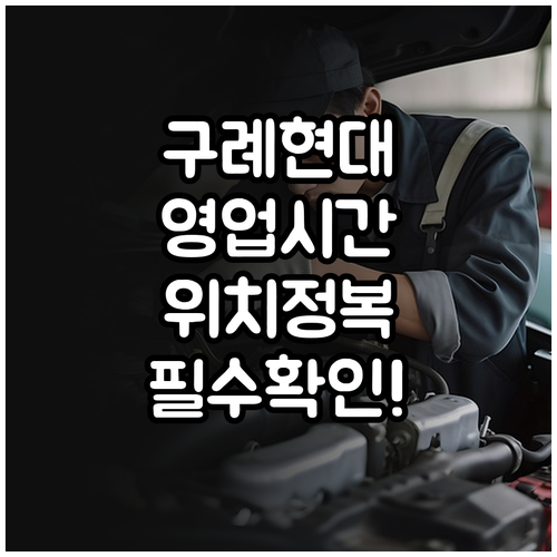 구례 현대자동차 블루핸즈 위치 및 영..