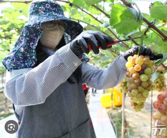 2026 광주광역시 농어민수당