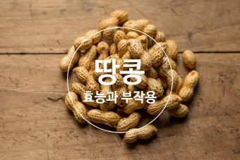 땅콩 효능 칼로리 권장섭취량_12