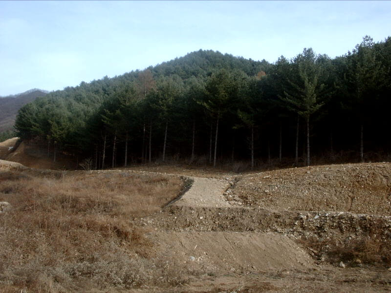 조상땅찾기