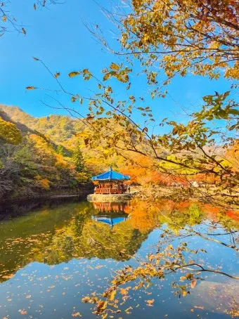 내장산 단풍터널 드라이브 코스 주차장 위치까지 총정리_11