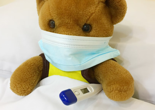 엽산 효능 : 예방