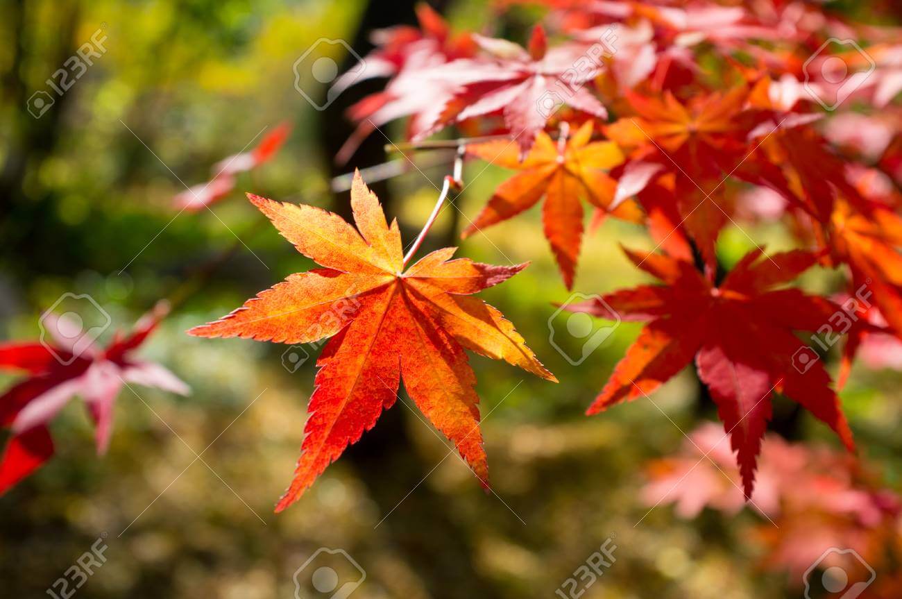 금정산 (범어사 주변)