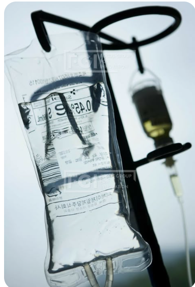 알부민 수액 종류