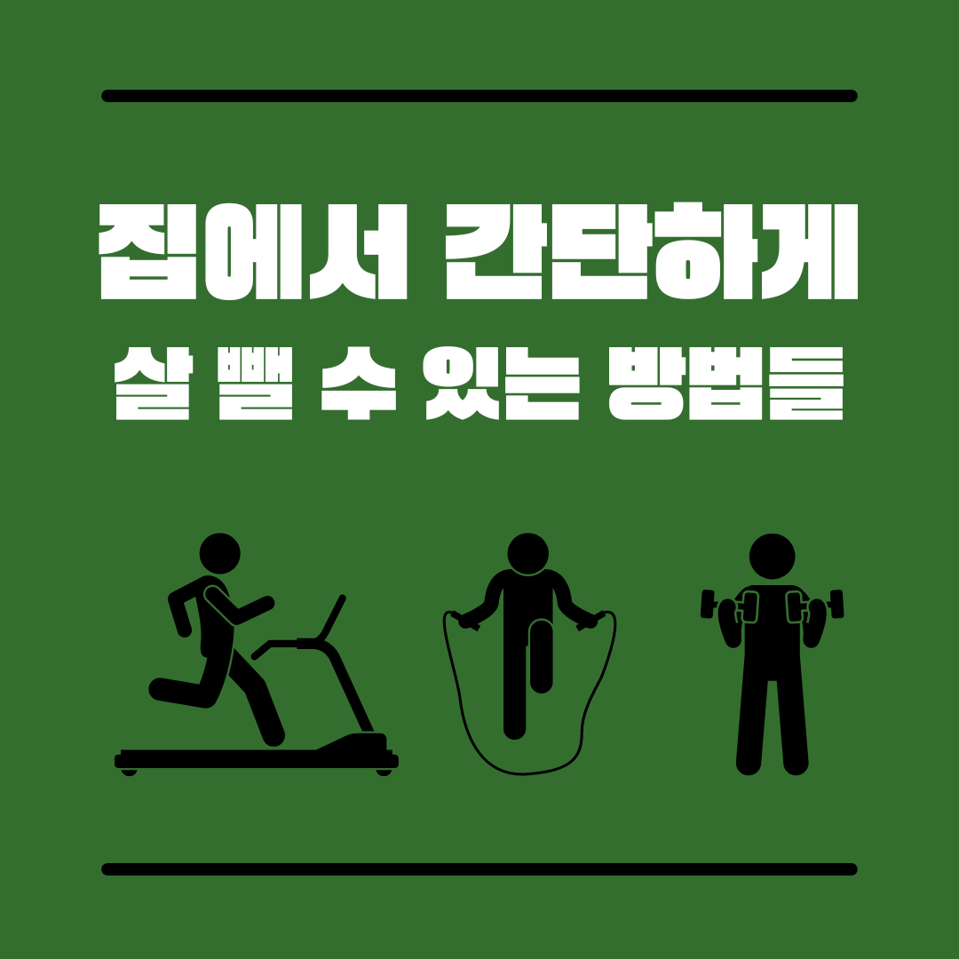 집에서 살 빼는 방법
