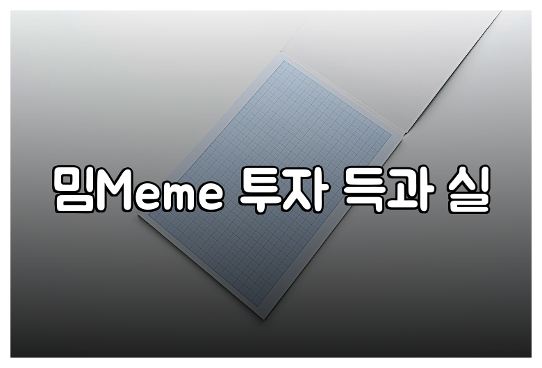 밈Meme 투자 득과 실