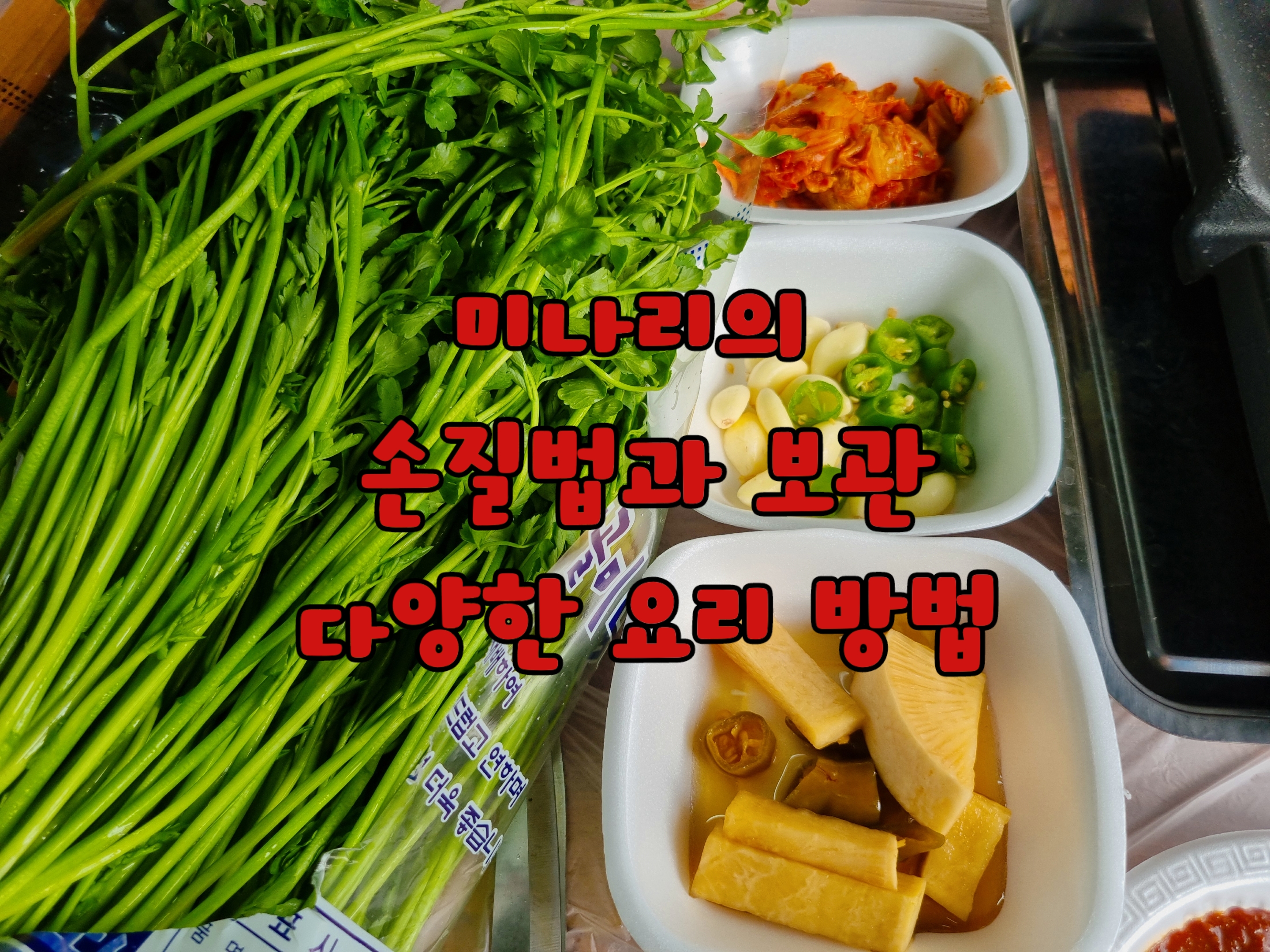 미나리 손질법과 보관 다양한 요리 방법