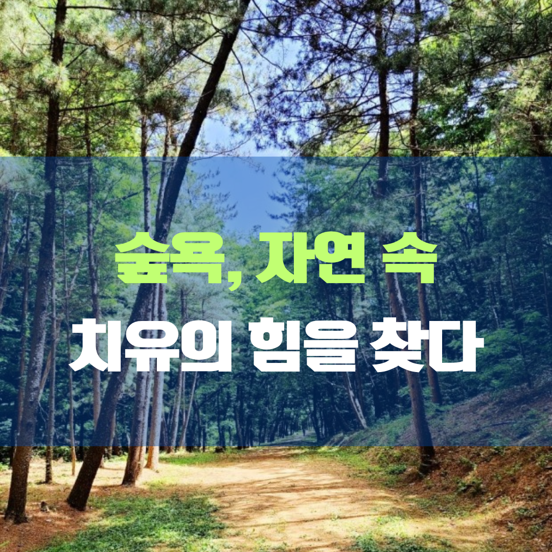 숲욕 산림욕&#44; 자연 속에서 치유의 힘을 찾다