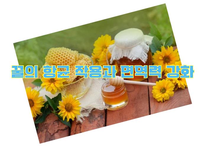 꿀의 항균 작용과 면역력: 자연이 준 달콤한 선물