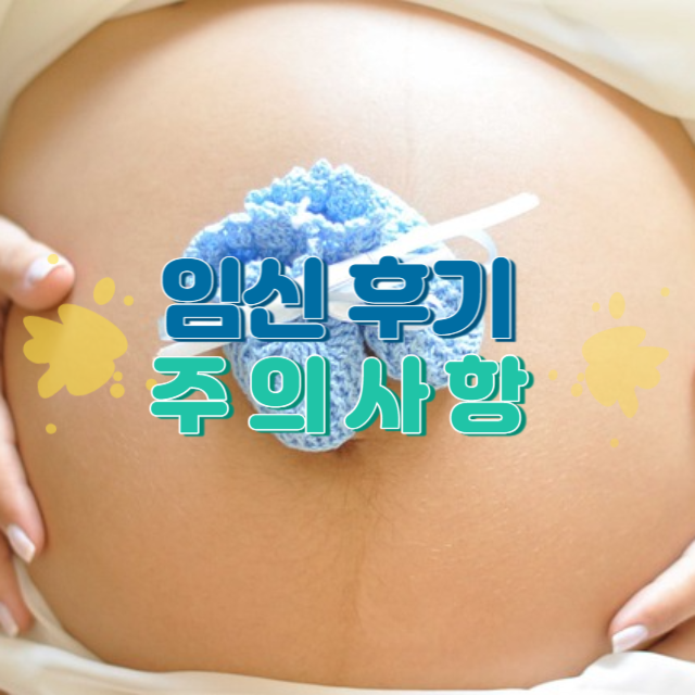 임신 후기 주의 사항